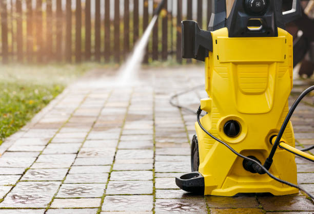 Best Soft Washing for Delicate Surfaces in Dodge Center, MN